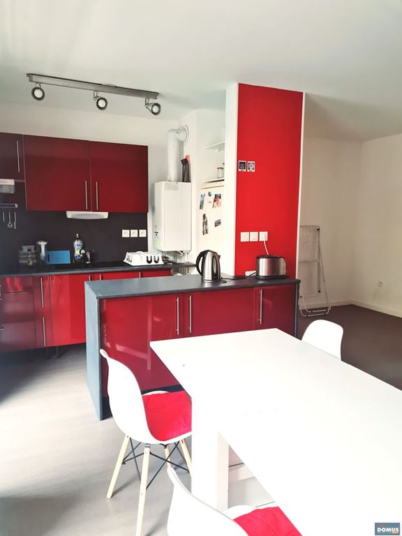 Appartement T3 LILLE (59800) DOMUS IMMO
