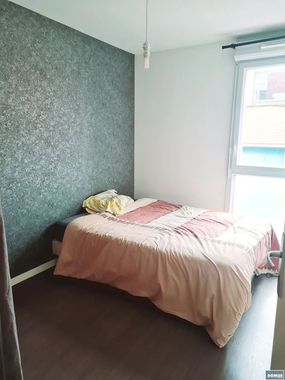 Appartement T3 LILLE (59800) DOMUS IMMO