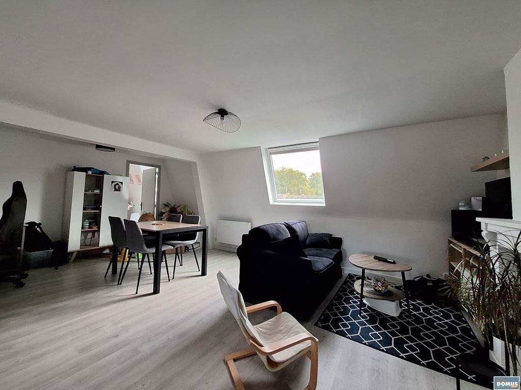 Appartement LILLE (59800) DOMUS IMMO