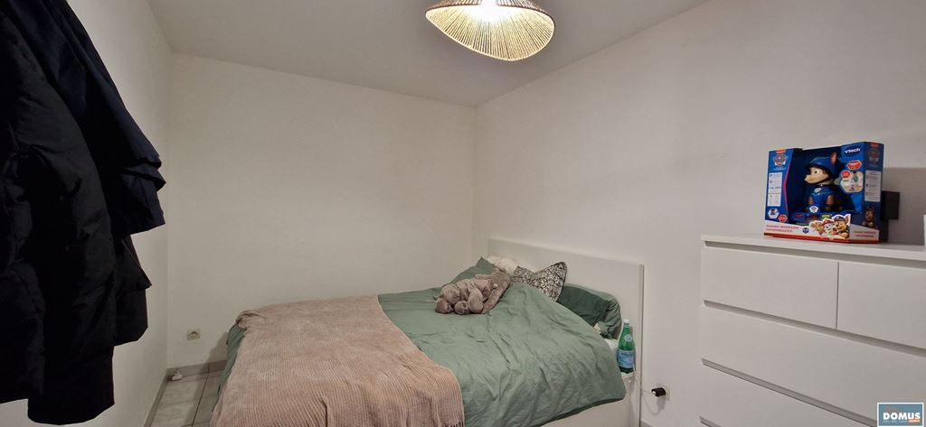 Appartement T2 LILLE (59800) DOMUS IMMO