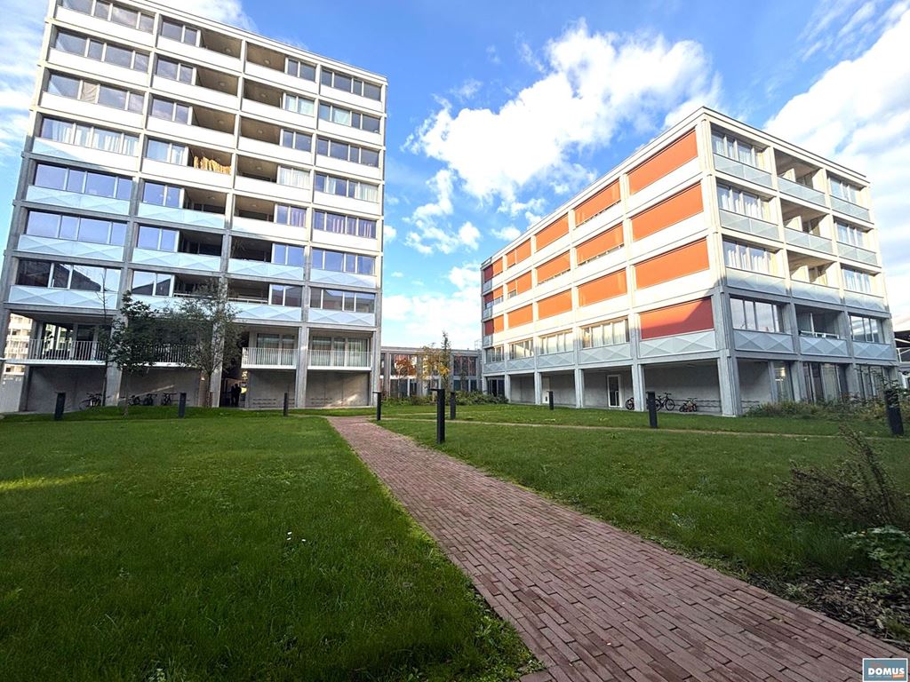 Appartement T4 LILLE (59800) DOMUS IMMO