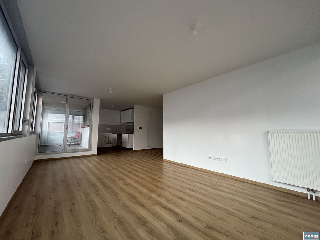 Appartement T4 LILLE (59800) DOMUS IMMO