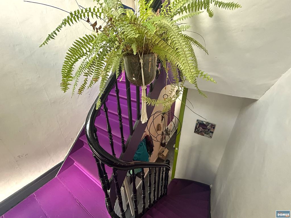 Maison LILLE (59800) DOMUS IMMO