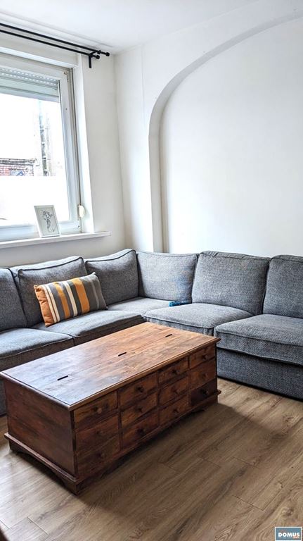 Appartement T3 LILLE (59800) DOMUS IMMO