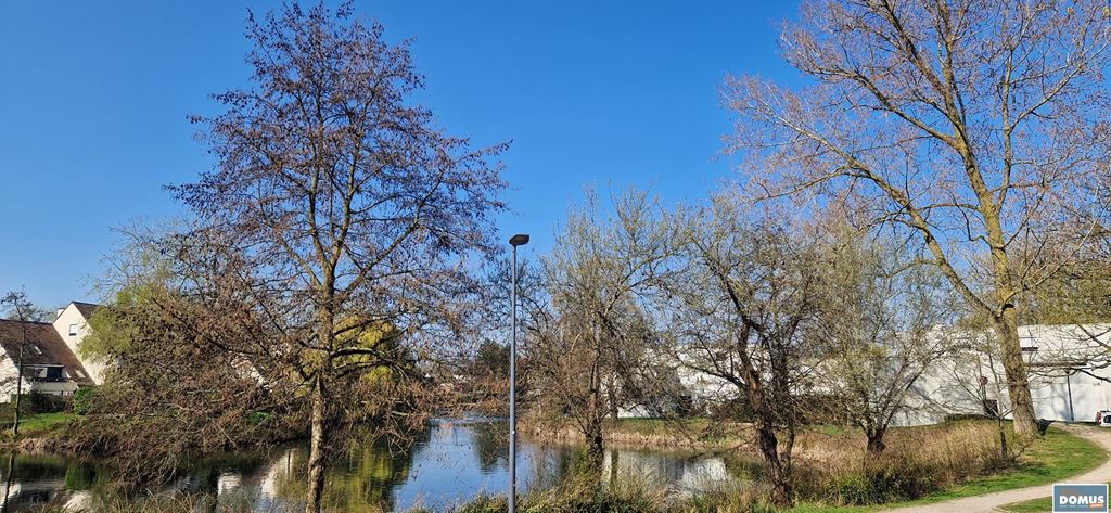 Appartement T4 VILLENEUVE D'ASCQ (59650) DOMUS IMMO